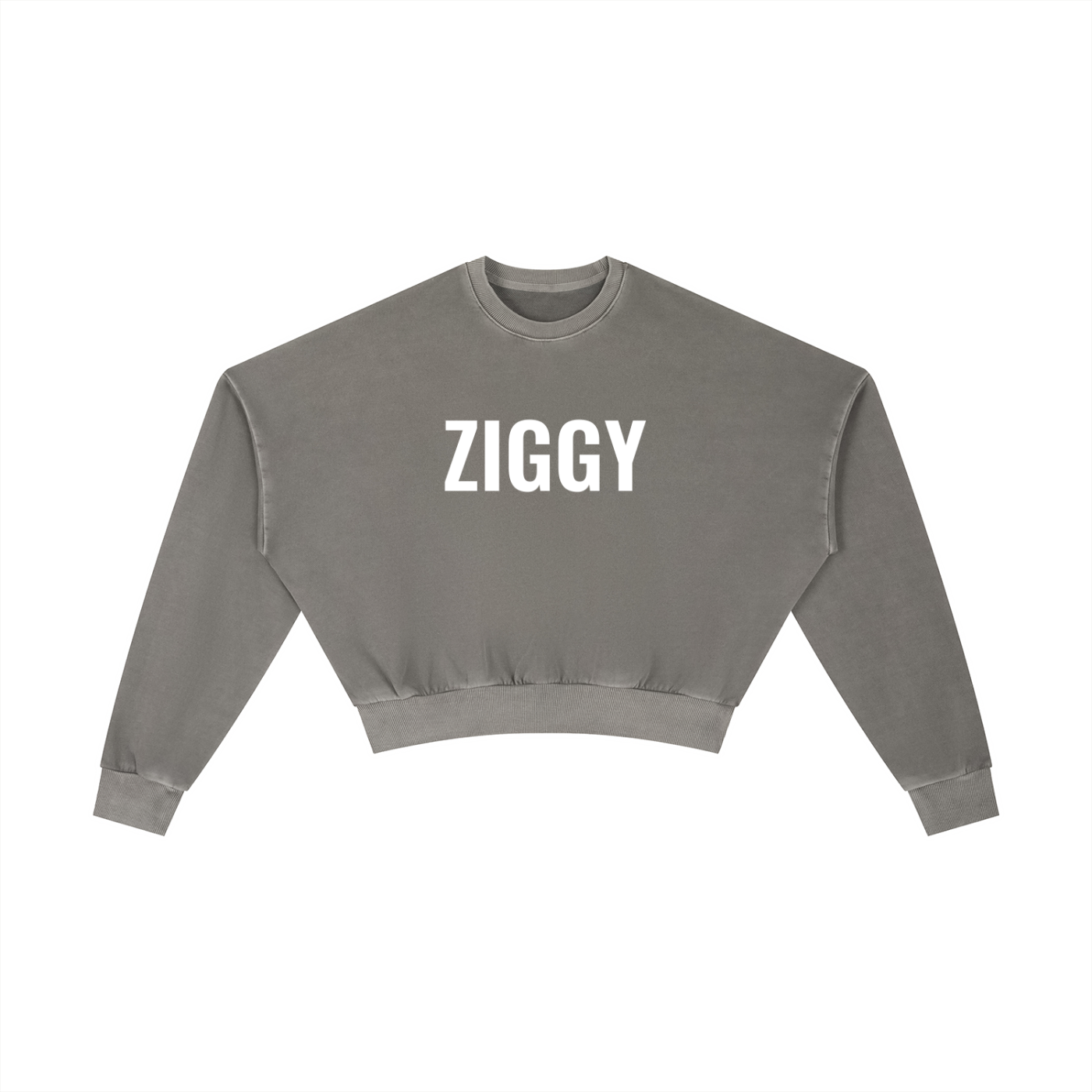 Vintage Washed Cropped Sweatshirt