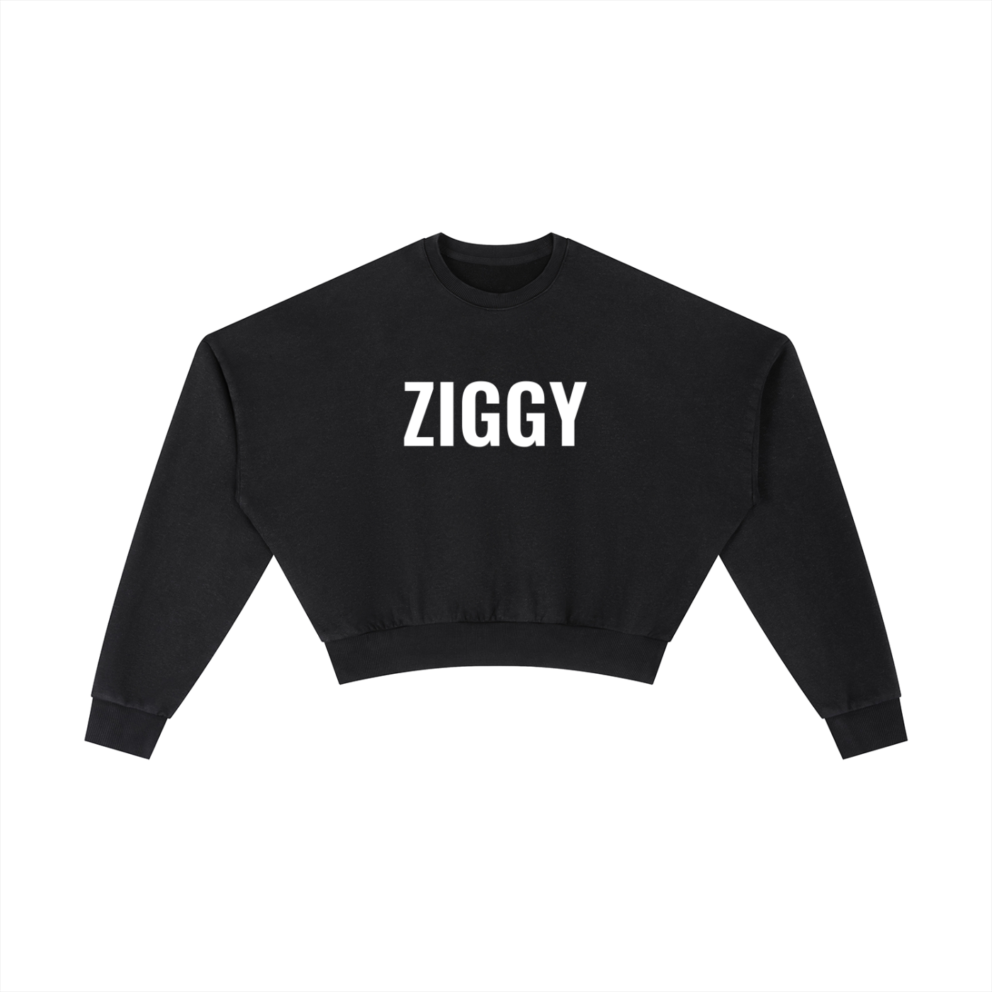 Vintage Washed Cropped Sweatshirt