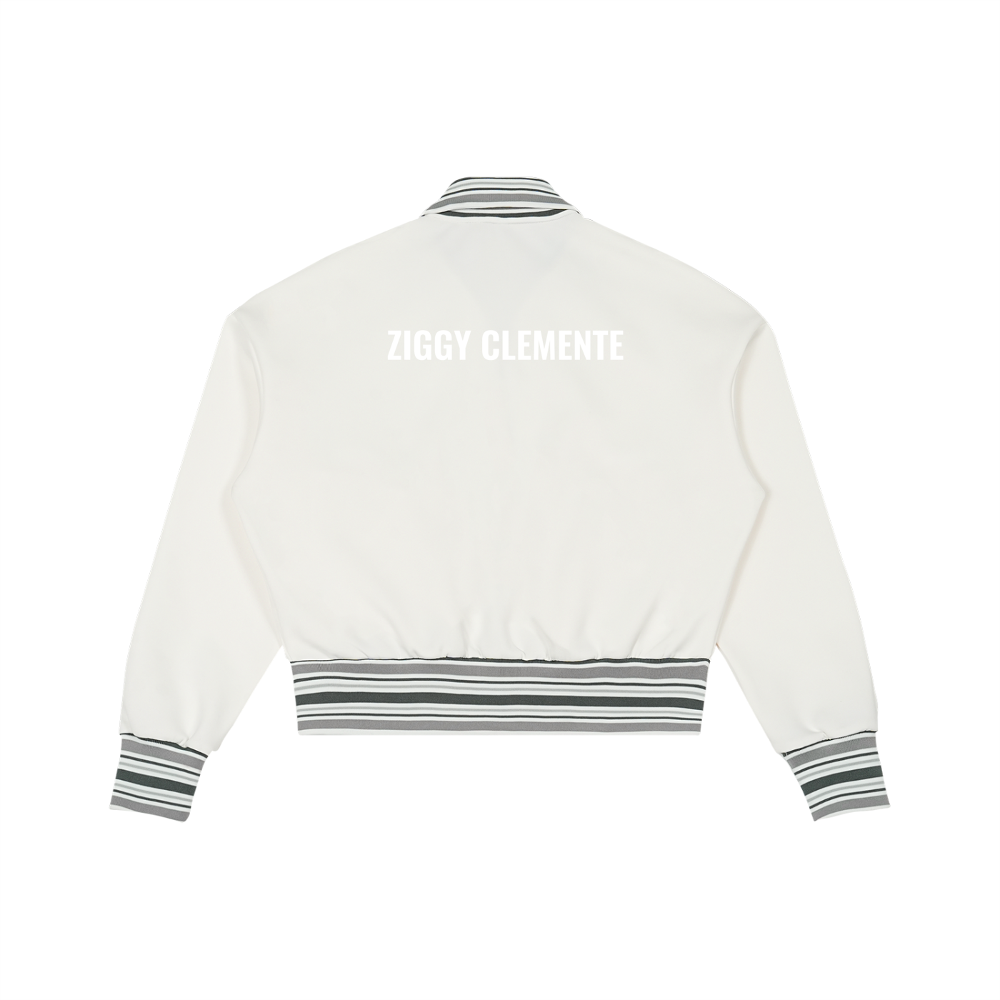 Striped Rib Collar Zip Jacket