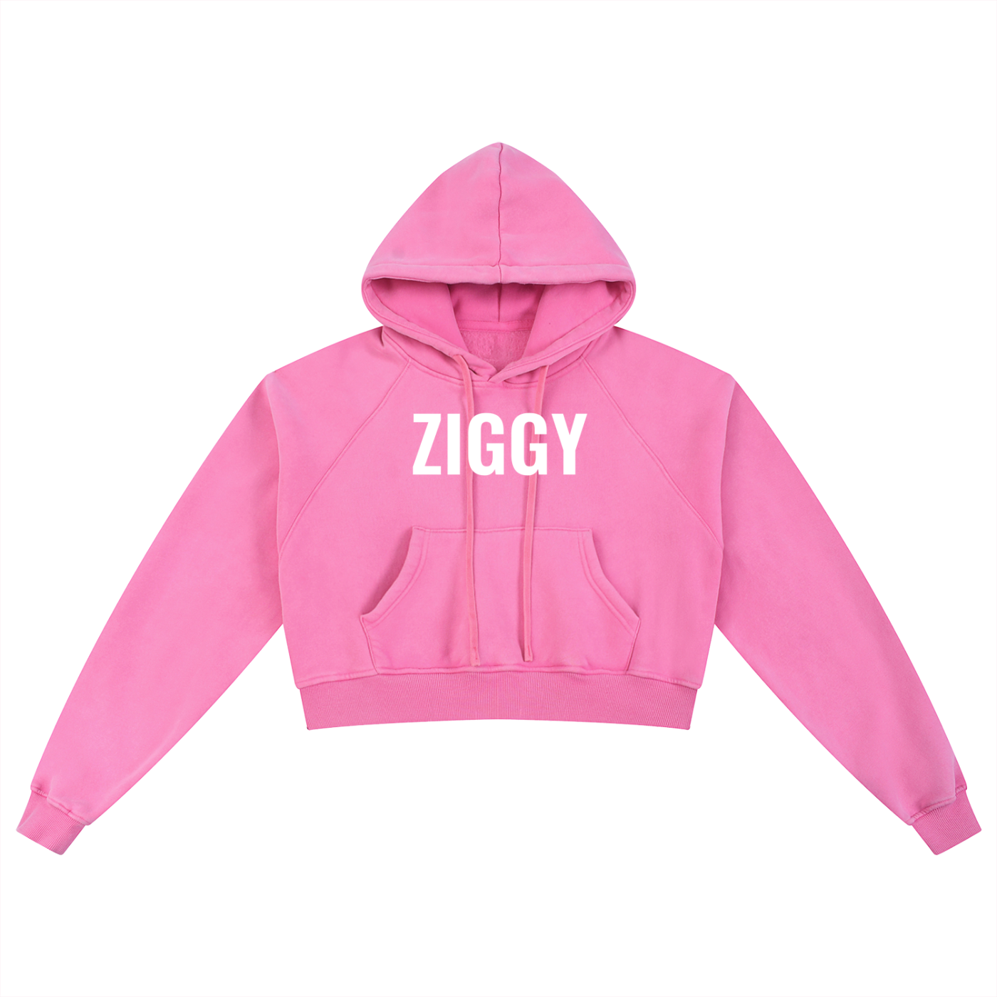 Snow Washed Cropped Hoodie